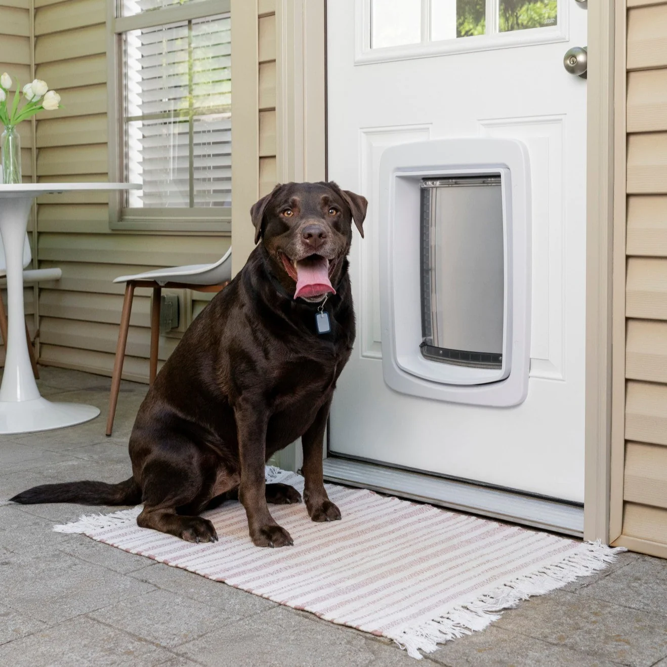 Looking for a New Pet Flap Door Get a Quote in Seconds Pet Flap Doors UK