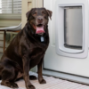 PetSafe SmartDoor Connected