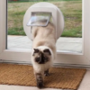 catflap1_48f7d270-9c1b-428f-bd51-a50c3bfb393b